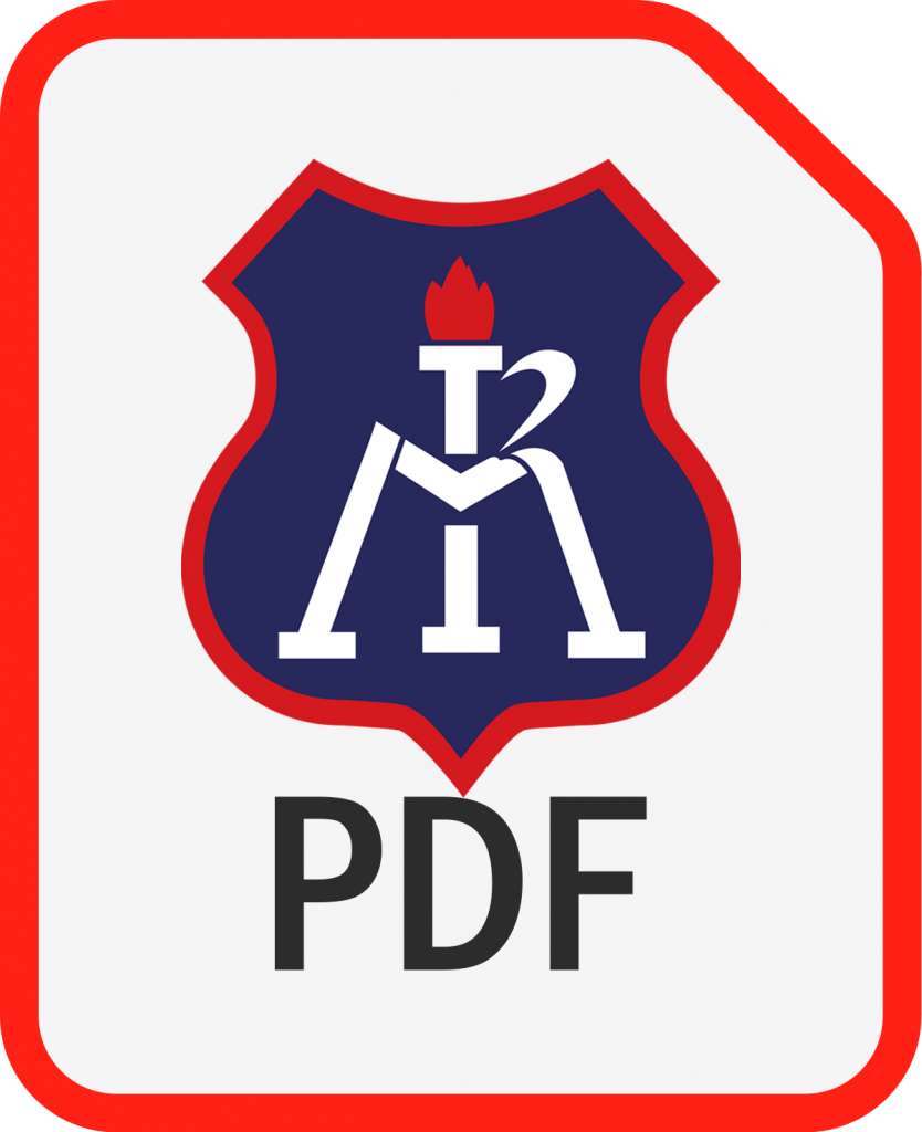 Icono PDF